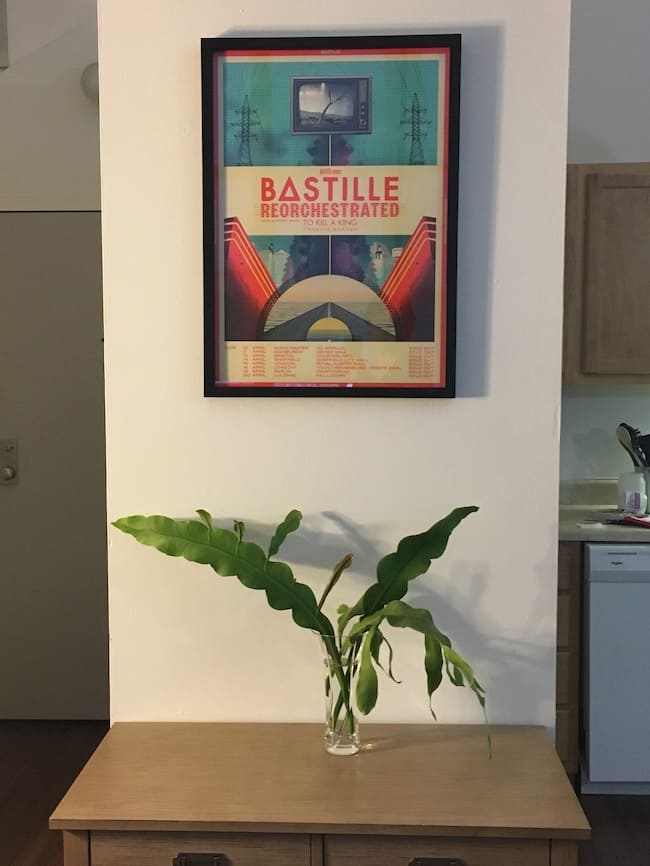 Three long green stems that look like wide, scalloped leaves in a clear glass vase sit on a small table under a framed Bastille ReOrchestrated concert poster